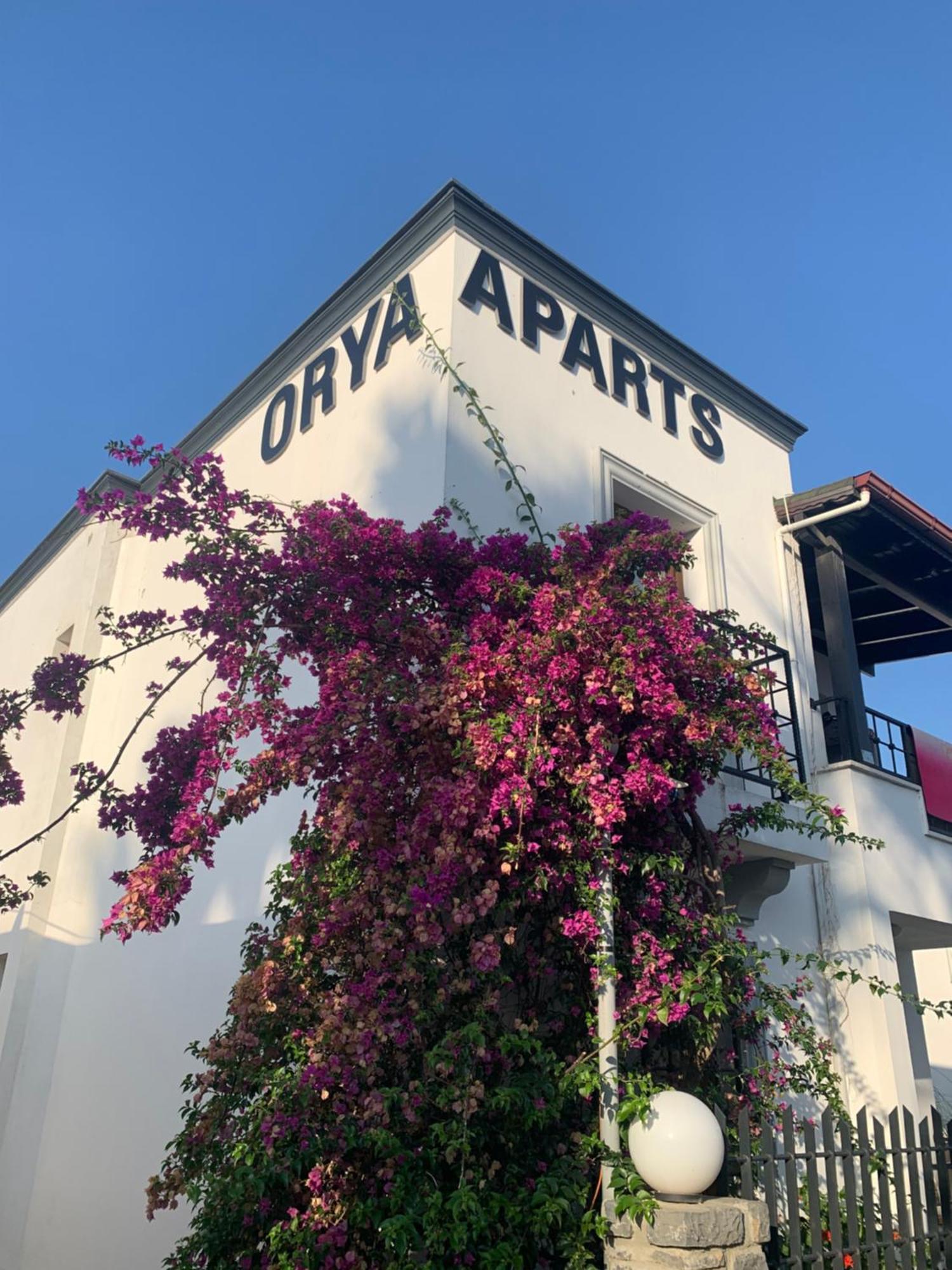 Orya Aparts Gümbet Exteriér fotografie